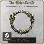 The Elder Scrolls Online Standard Edition The Elder Scrolls Online Standard Edition